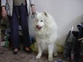 es.Bud. - Tak, ne pjdu do kruhu, chci nco dobrho [48.55 kB] (pidno 29.9.2005 22:38:10)