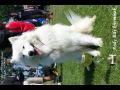 Andk se nauil poslouchat a tvrd zabojoval [102.44 kB] (pidno 17.9.2005 10:29:55)