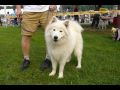 3.9.05 klubovka samojed - Ml. Bol. [107.03 kB] (pidno 29.9.2005 22:41:10)