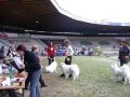 26.9.04 - El CAC, Dja CAJC [89.38 kB] (pidno 29.9.2005 22:23:54)