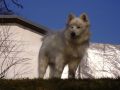 Tak co se tam dje??? [63.01 kB] (pidno 18.9.2005 22:00:23)