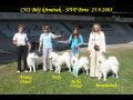 [96.15 kB] (pidno 29.9.2005 22:47:23)