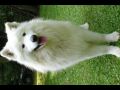 Tak jak, kde je ta Dja? [90.82 kB] (pidno 17.9.2005 13:41:35)