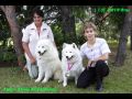 Nai medailisti - Ana se sgrou Djou [98.14 kB] (pidno 17.9.2005 10:27:55)