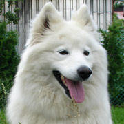 Matka