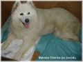  [52.36 kB] (p�id�no 28.6.2011 20:54:08)
